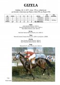Gizela-77w