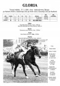 Gloria-82w