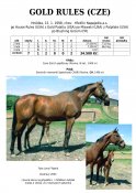 Gold-rules-98w