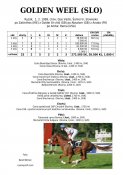 Golden_weel-99w