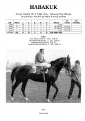 Habakuk-84w