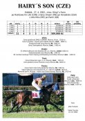 Hairys-son-02w