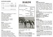 Hakim-k_2