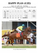 Happy-plan-08w