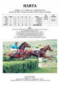 Harta-89w