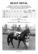 Heavy-metal-91w