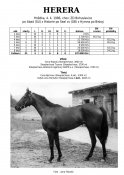 Herera-86-abad-w