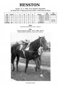 Hesston-85-abad-w