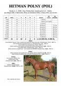 Hetman-polny-pol-04-alhijaz-w