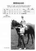 Hidalgo-83w