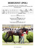 Horyzont-pol-07w