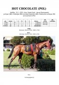 Hot-chocolate-pol-13w