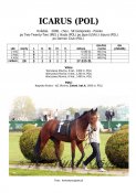 Icarus-pol-06w