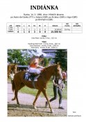 Indianka-90-ads-w