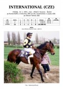 International-93w