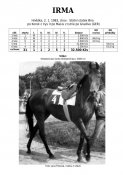 Irma-83w