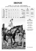 Ironie-73w