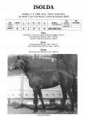 Isolda-84w
