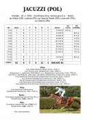 Jacuzzi-pol-02-alhijaz-w