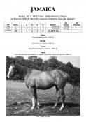 Jamaica-73w