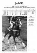 Jarok-81w