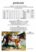 Javellin-91w