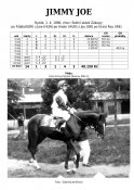Jimmy_joe-90w