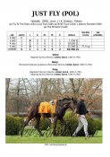 Just-fly-pol-08w
