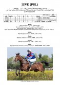 Juve_pol_07w