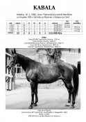 Kabala-82w