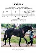 Kabira-92-agytroszt-w
