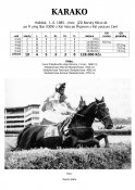 Karako-85w