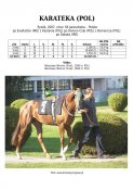 Karateka-pol-07w