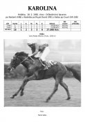 Karolina-82w