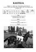Kastilia-89w