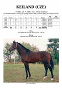 Keiland-98w