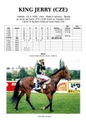 King-jerry-95-ads-w