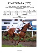 Kings-bara-97w