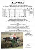 Klondike-91w