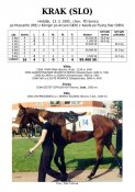 Krak-slo-95w