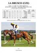 La_brusco-08w