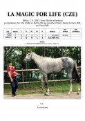 La_magic_for_life-03w