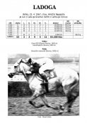 Ladoga-67w_2