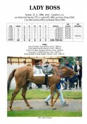 Lady-boss-97-w