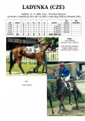 Ladynka-96w