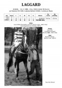 Laggard-88_rh-w