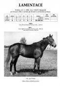 Lamentace-89w