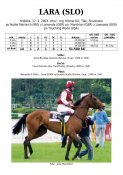 Lara-slo-03w