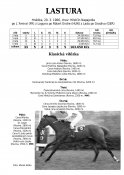Lastura-66-la-w