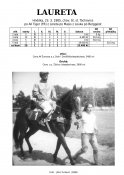 Laureta-85-at-w_2